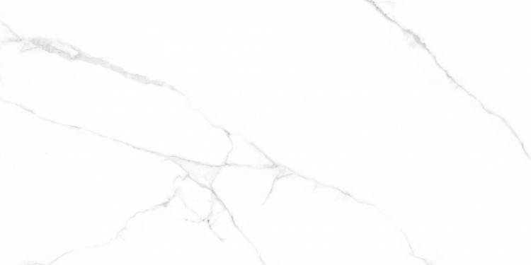 Керамогранит Simpolo MPL-058816 CRV-3141 carving 60x120