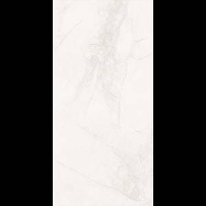 Керамогранит Рlanet Сeramics BNF12601RG matt 60x120