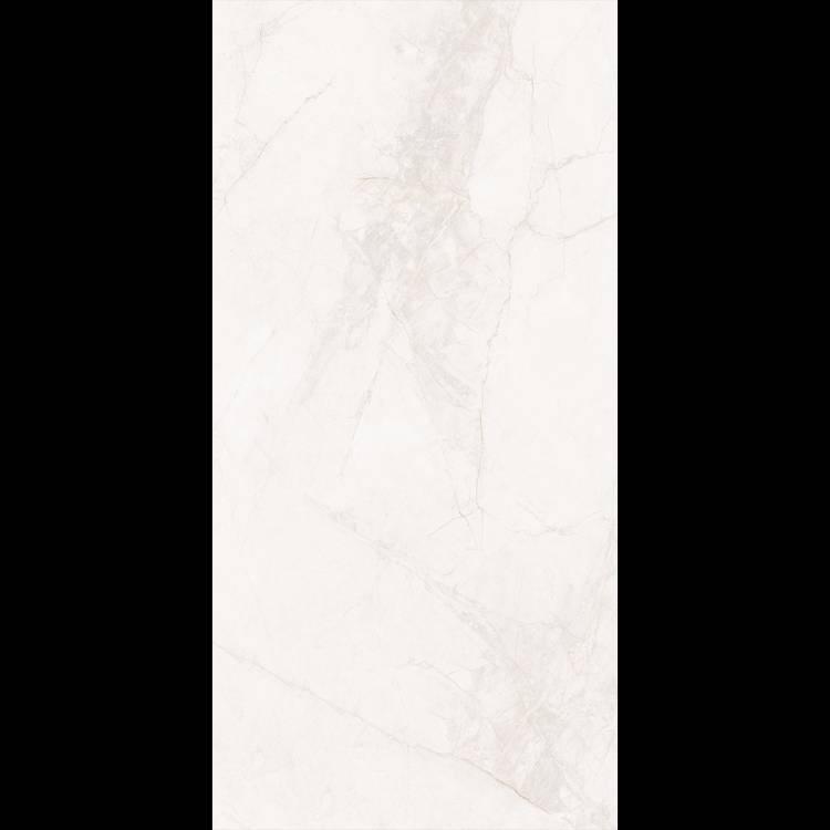 Керамогранит Рlanet Сeramics BNF12601RG matt 60x120
