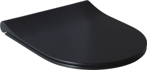 Крышка-сиденье Allen Brau Priority 4.31004.31 с микролифтом, черная
