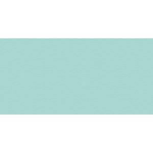 Керамическая плитка AltaCera WT9LST06 Celeste 24.9x50