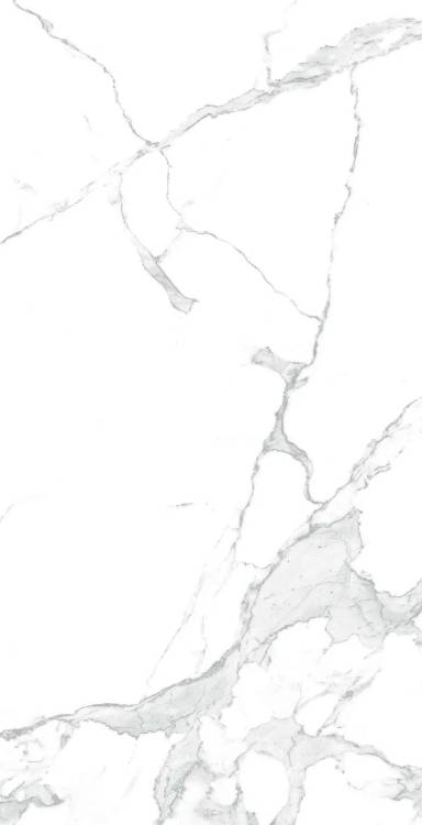 Керамогранит Arcadia Ceramica Paradise Statuario CR4003-A Carving 60x120