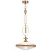 Подвесной светильник Odeon Light Krema 5441/1