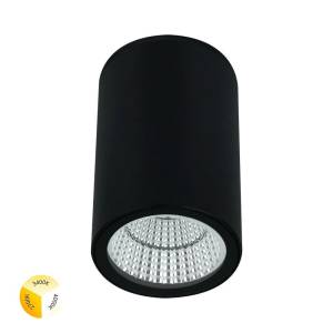 Уличный потолочный светодиодный светильник Arte Lamp Torcular A1307PF-1BK