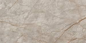 Керамогранит Atlas Concorde Russia Empire 610010002187 Silver Root / Сильвер Рут 120x60