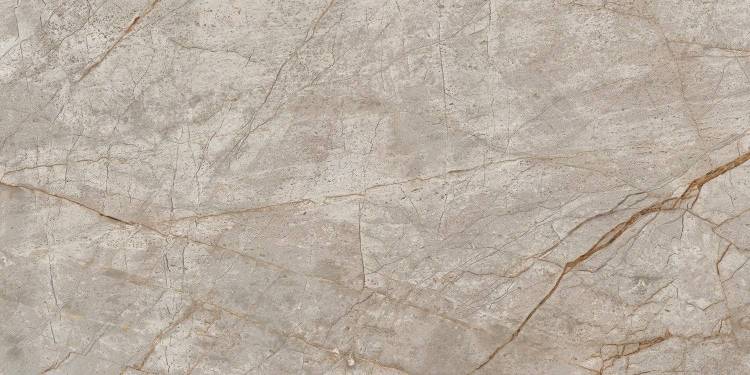 Керамогранит Atlas Concorde Russia Empire 610010002187 Silver Root / Сильвер Рут 120x60