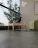 Керамогранит Arcadia Ceramica Elite SG3004-A Mist Sugar 60x60 фото 12
