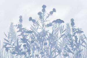 3D Фотообои Artegrafico «Светлые полевые растения в холодных тонах» HRB-060 акварель