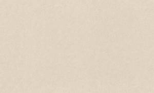 Обои виниловые Rasch Concrete XL 947465