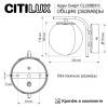 Бра Citilux Адам Смарт CL228B313 фото 10