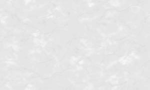 Обои Grandeco Spring R148003