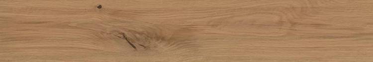Керамогранит Atlas Concorde Log AX3H Deep Oak Forest Matte 20x120