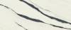 Керамогранит Atlas Concorde Russia Forte Dei Marmi 610010003172 Panda White Rett 60x120