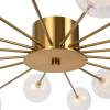 Люстра Freya Celebrity FR5242CL-24B фото 3