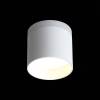 Потолочный светодиодный светильник ST Luce Panaggio ST102.502.09 фото 3