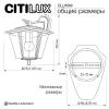 Уличный светильник Citilux Forts CLU10W фото 9