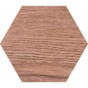 Керамогранит Pamesa Cromat Rovere 015.292.0109.09741 Brown Hex 19.8x22.8