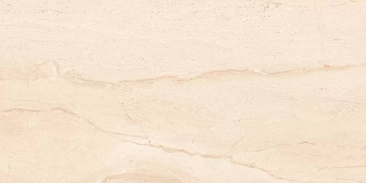 Керамогранит Absolut Gres Diana AB 1083M Silver matt 1200x600