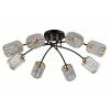 Трековый светильник Rivoli Emanuelle 9101-308