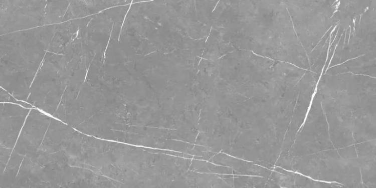 Керамогранит Eternal Alcora Gris ETSTN1203MT60120 Matt 60x120