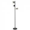 Торшер Evoluce Lacotta SLE154905-03