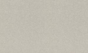 Обои флизелиновые Rasch Composition Xl 973648