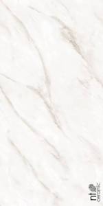Керамогранит NT Ceramic Marmo NTT99525P Empire Pearl Endless полированная 60x120
