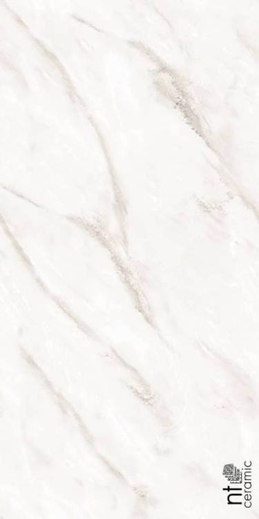Керамогранит NT Ceramic Marmo NTT99525P Empire Pearl Endless полированная 60x120
