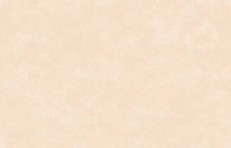 Обои флизелиновые Loymina Golden Library TDG7 002/2