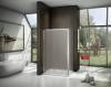 Душевой уголок Good Door Latte WTW+SP-G-WE 110x80 фото 2