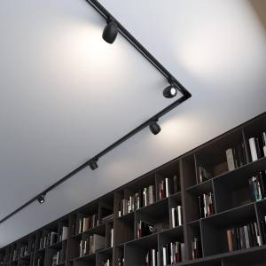 Трековый светильник Novotech Port Veterum 370547