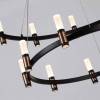 Подвесная светодиодная люстра Odeon Light Malpa 5002/13L фото 3