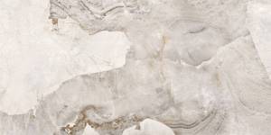 Delacora Seashell