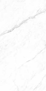 Керамогранит Arcadia Ceramica Coralina CP4003-A White 60x120