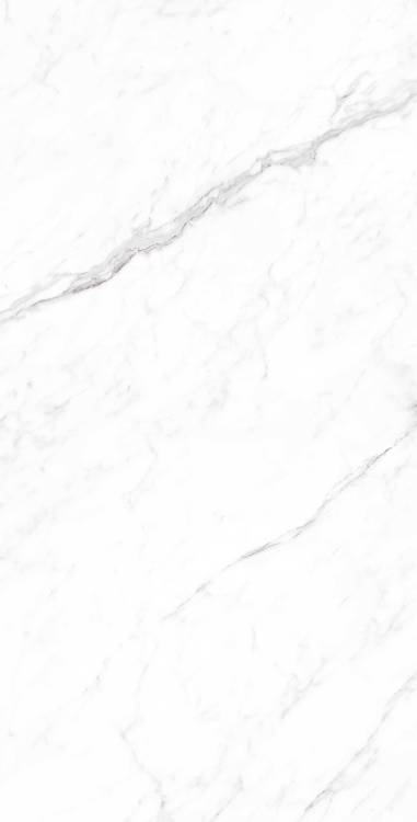Керамогранит Arcadia Ceramica Coralina CP4003-A White 60x120