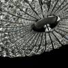 Потолочная люстра Maytoni Broche DIA902-04-N фото 2