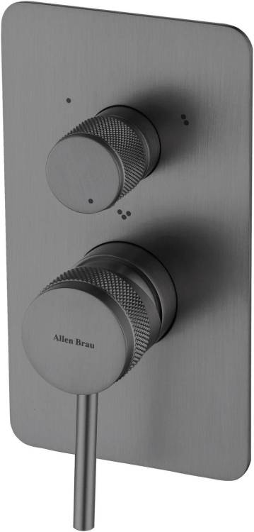 Смеситель для душа Allen Brau Priority X3 5.31A11-MG встраиваемый, графит брашированный
