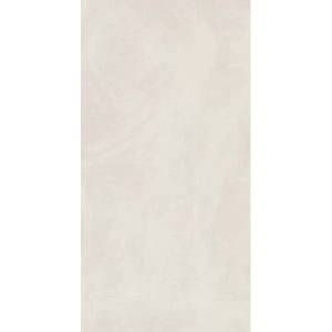 Керамогранит Italon Continuum 610010002682 Polar 80x160