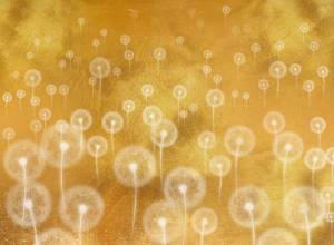 3D Фотообои Artegrafico «Воздушные одуванчики» PT-013 песок