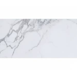 Керамогранит Absolut Gres Carrara AB 1097M Classic Matt 60x120