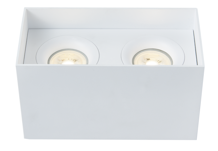 Потолочный светильник Technical Slim C015CL-02W