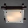 Потолочный светильник Arte Lamp 94 A6462PL-2CK фото 3