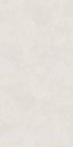 Керамогранит Lasselsberger Ceramics Иней 6493-0137 светло-серый 60х120