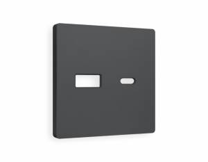 Лицевая панель для розетки 2USB A+C Ambrella Volt Alfa AP9110
