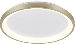 Потолочный светодиодный светильник Ambrella light Acrylica FA7650