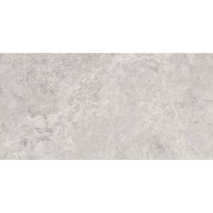 Керамогранит Monocibec Mythology 141142 Regia Silver Brushed Rect 60x120