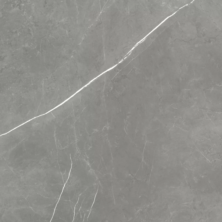 Керамогранит Atlas Concorde Russia Forte dei Marmi 600010002407 Elegant Grey Matt Rett 120x120
