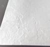 Поддон для душа RGW Stone Tray ST-0100W 100х100 с сифоном фото 3