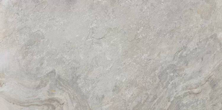 Керамогранит Porcelanosa Image 100202669 Silver 59.6x120