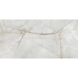 Керамогранит LCM Special Marmo 60120PEC15P Gray Полированный 60x120